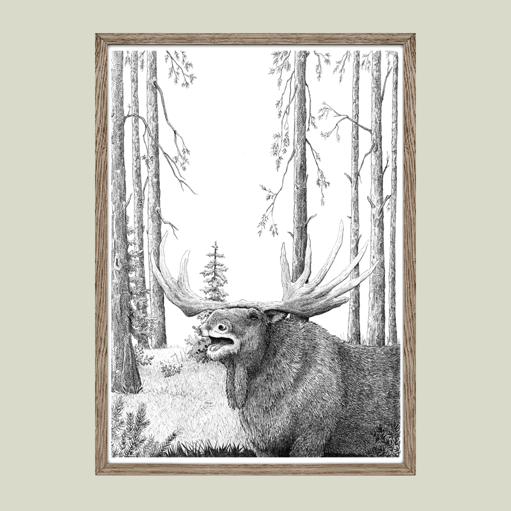Håndtegnet plakat med elg i skoven – naturmotiv fra serien I haven og skoven