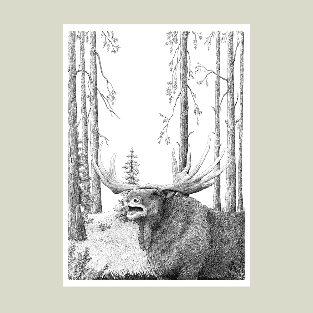 Håndtegnet plakat med elg i skoven – naturmotiv fra serien I haven og skoven
