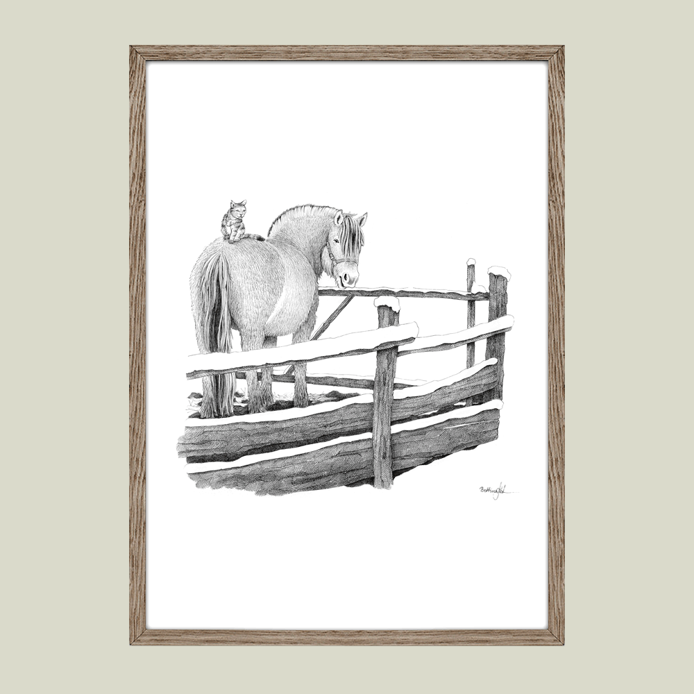 Håndtegnet sort-hvid illustration af en fjordhest med en kat på ryggen, stående i en fold omkranset af hegn. Et roligt og nærværende motiv.