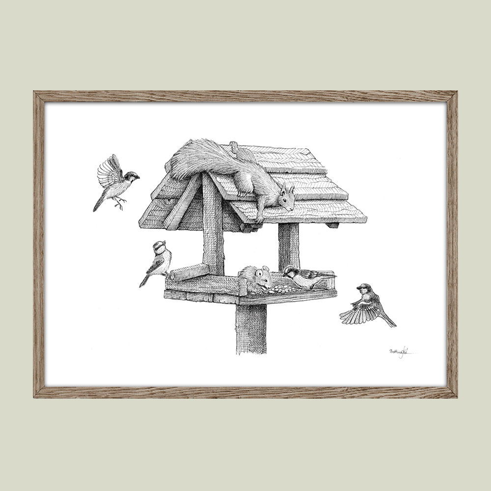 Håndtegnet plakat med egern og fugle ved foderbræt – naturmotiv fra serien I haven og skoven
