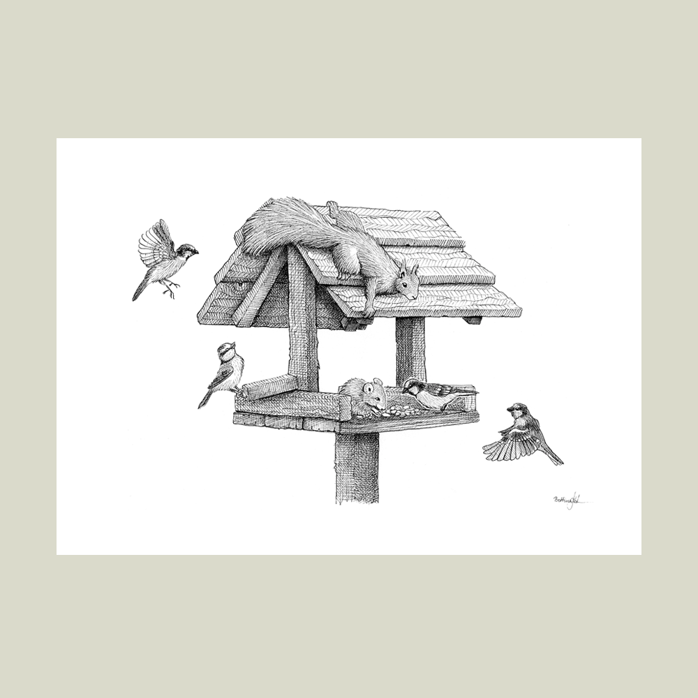 Håndtegnet plakat med egern og fugle ved foderbræt – naturmotiv fra serien I haven og skoven
