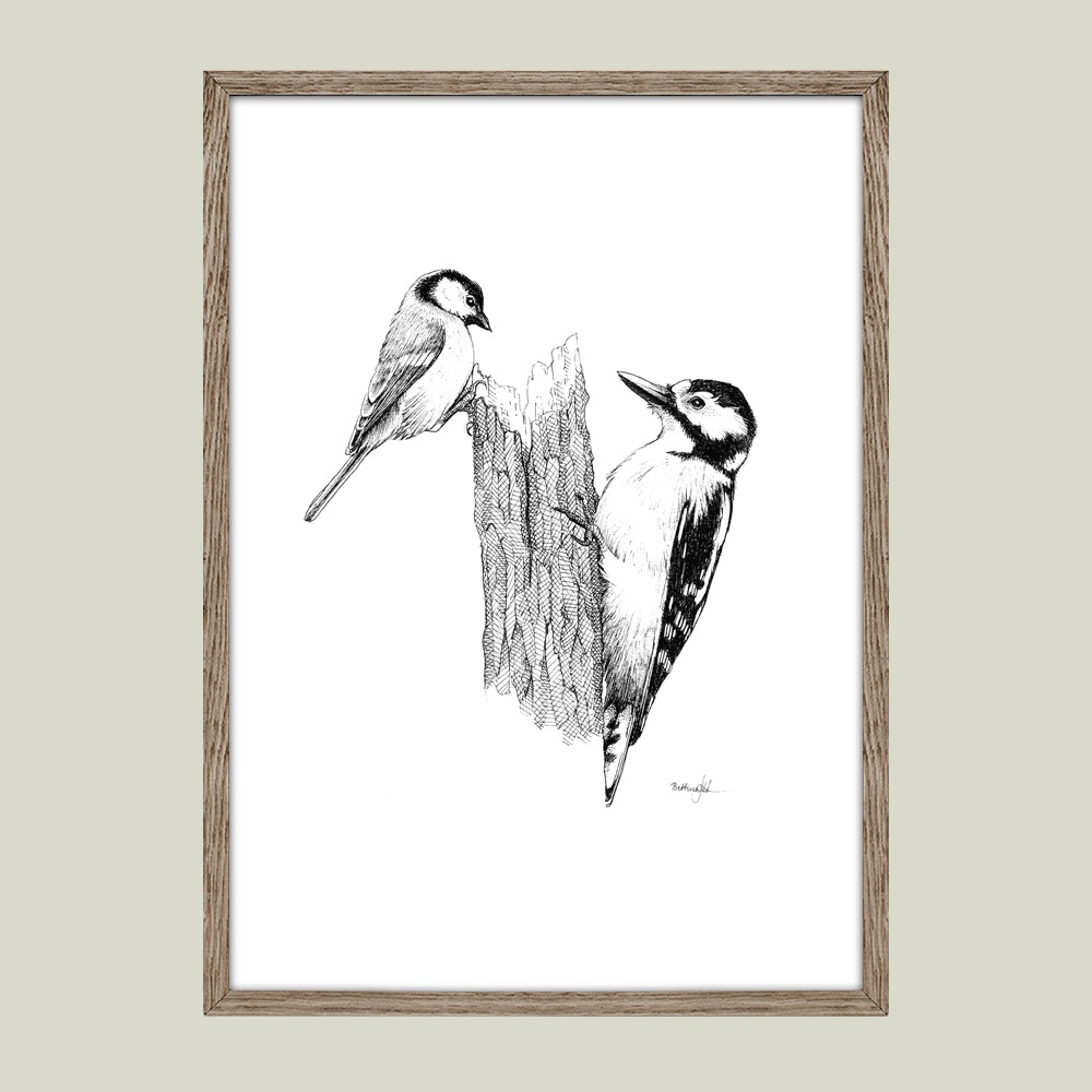 Håndtegnet plakat med spætte og musvit på træstamme – naturmotiv fra serien I haven og skoven