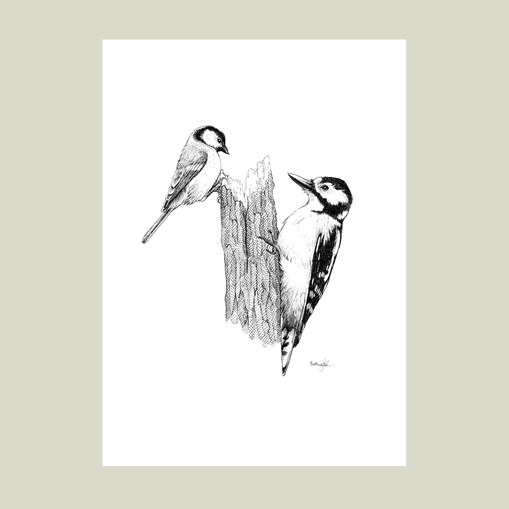 Håndtegnet plakat med spætte og musvit på træstamme – naturmotiv fra serien I haven og skoven