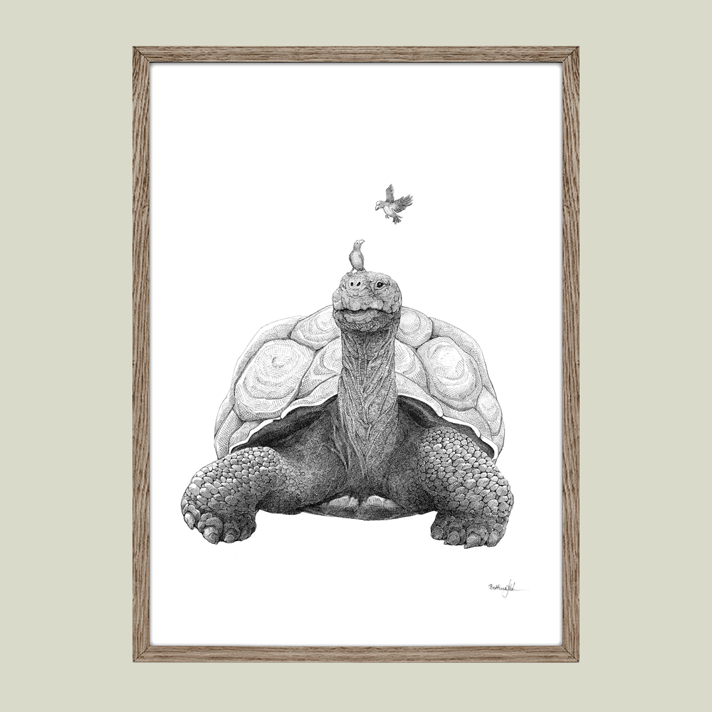 Håndtegnet sort-hvid plakat med skildpadde og fugl – detaljeret tuschtegning, der viser naturens samarbejde.