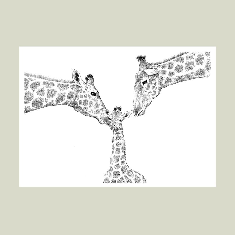 Plakat – Kærlighed uden lige