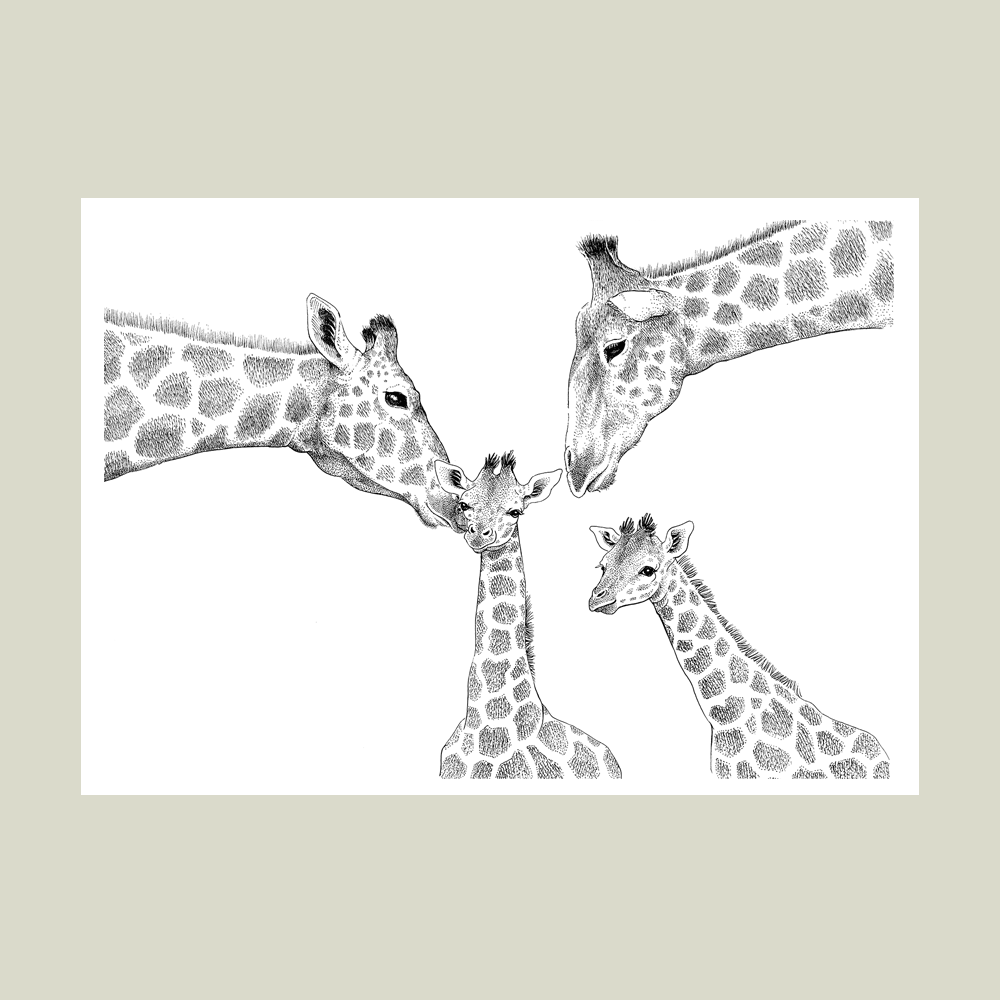 Plakat – Kærlighed uden lige