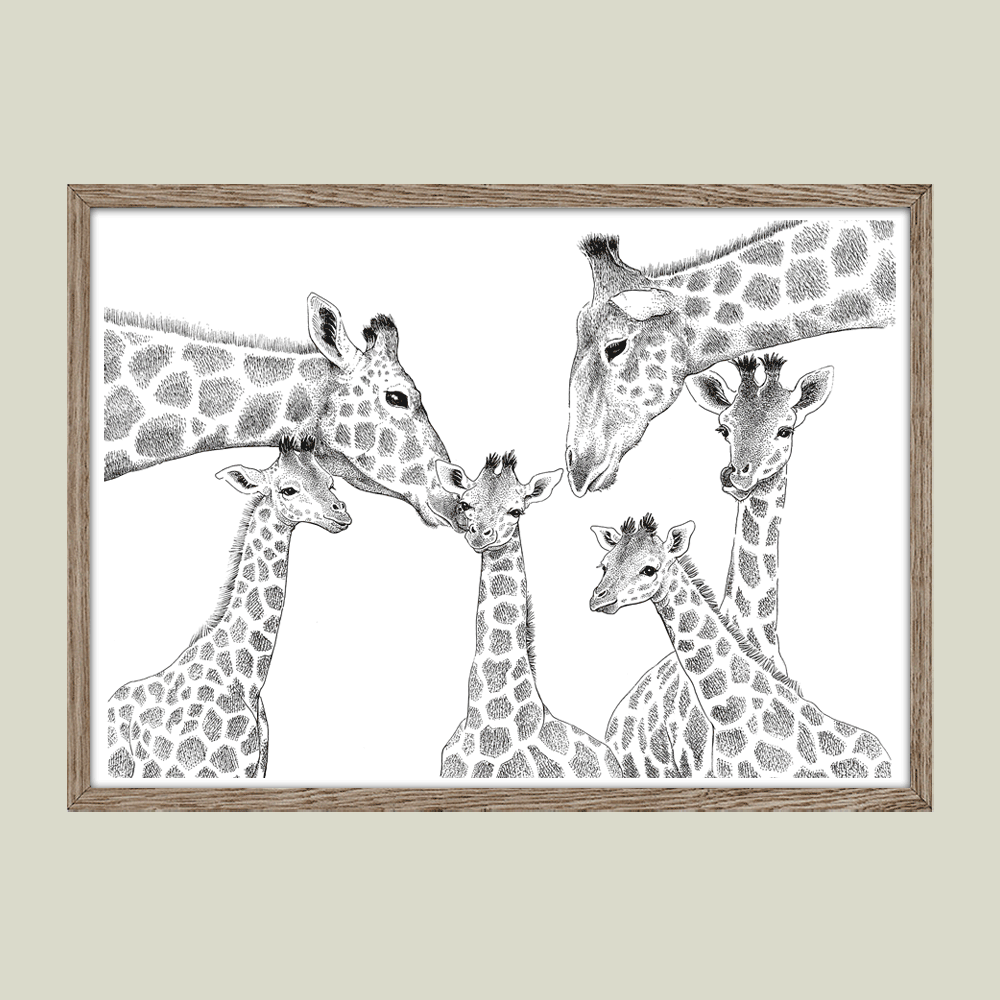 Plakat – Kærlighed uden lige