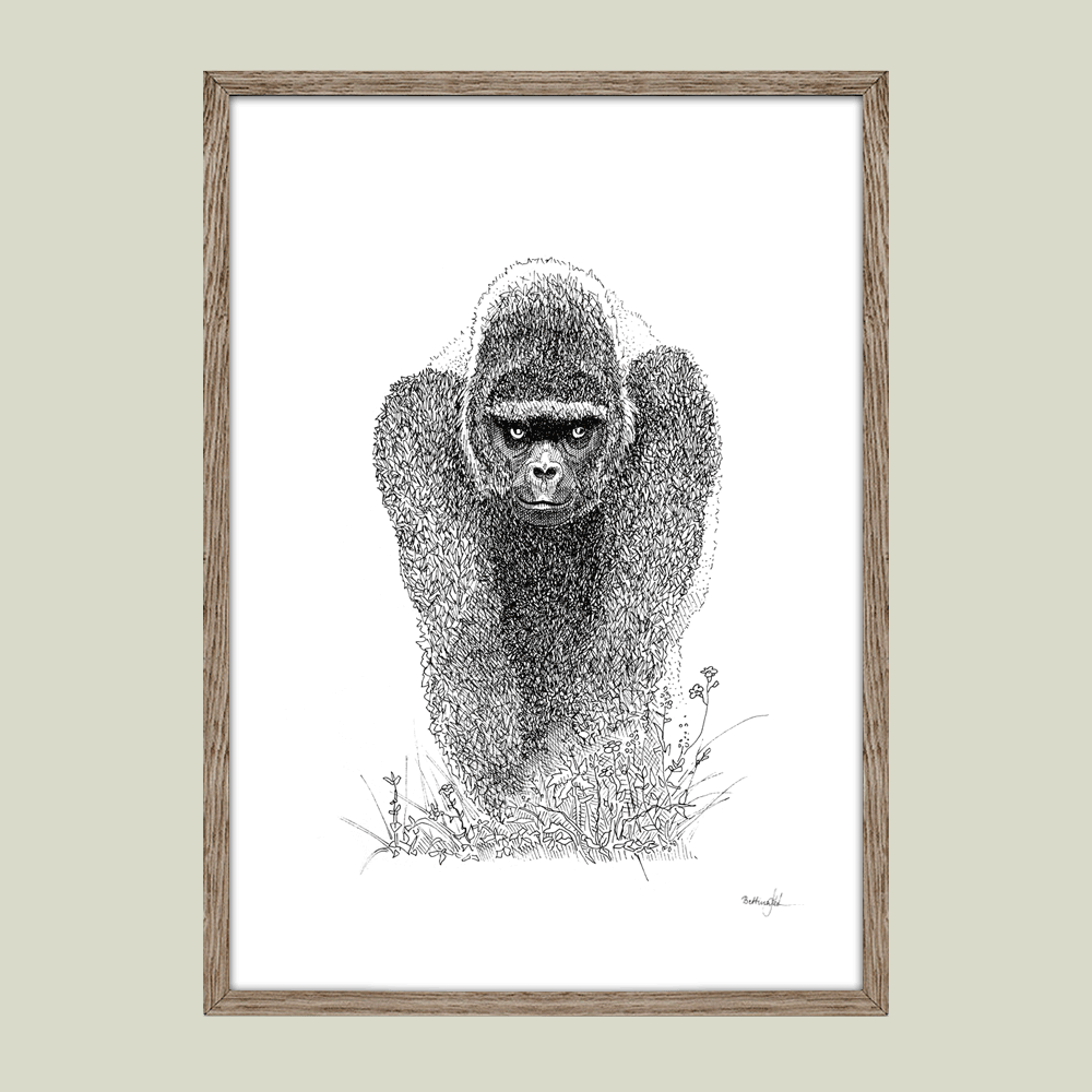 Plakat med gorilla – En fredelig stund
