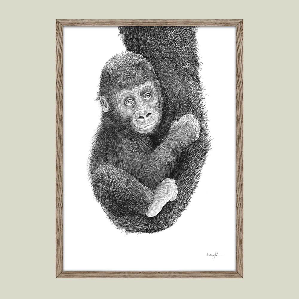 Håndtegnet sort-hvid plakat med gorillaunge – detaljeret tuschtegning af lille abe, der holder fast i sin mor.