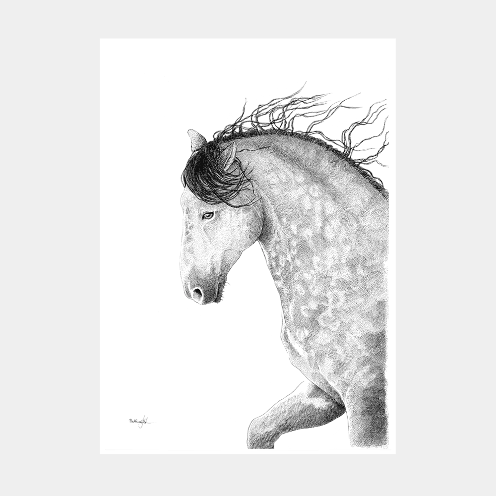 Håndtegnet sort-hvid illustration af en hest med bøjet hals og vinden i manen. Et roligt, kraftfuldt og poetisk motiv. Begrænset oplag på 20 stk