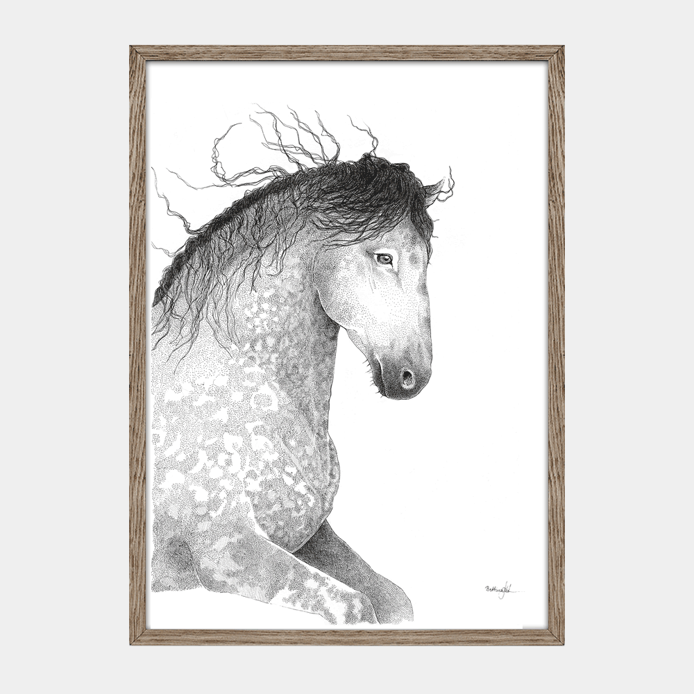 Håndtegnet plakat med hest i blød bevægelse. Et blidt og smukt motiv med styrke, ynde og nærvær. Limited edition - kun 20 plakater.
