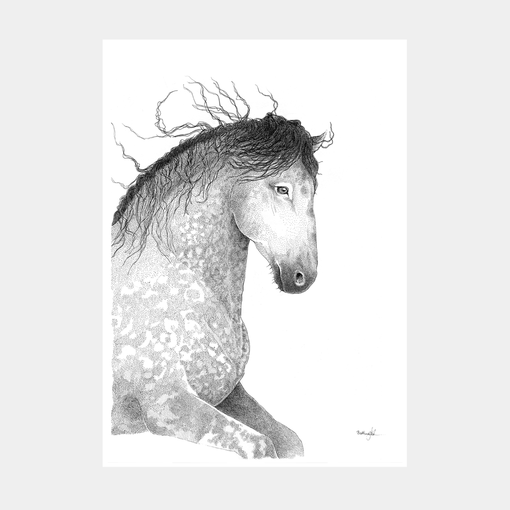 Håndtegnet plakat med hest i blød bevægelse. Et blidt og smukt motiv med styrke, ynde og nærvær. Limited edition - kun 20 plakater.