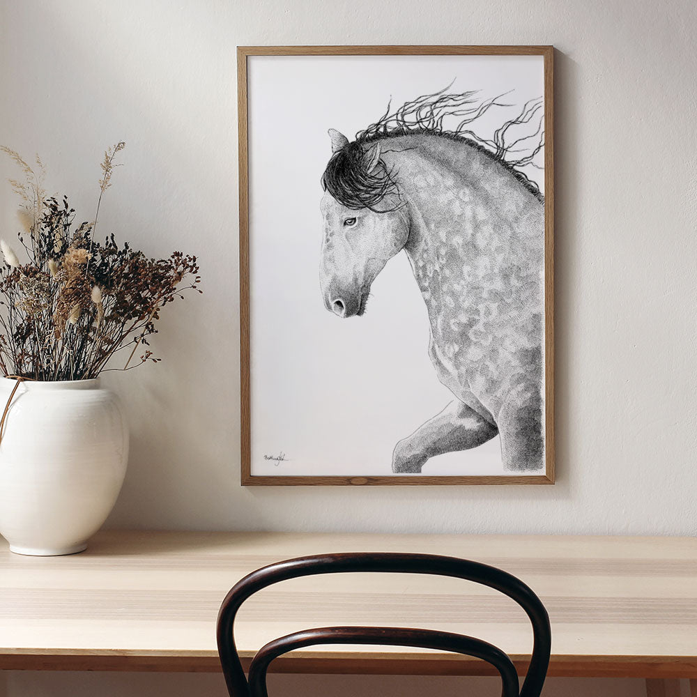 Plakat med gråskimmel hest 2