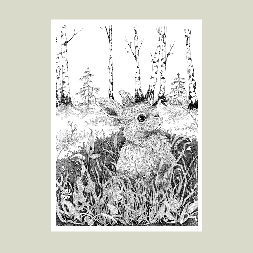 Håndtegnet plakat med hareunge i skoven – naturmotiv fra serien I haven og skoven