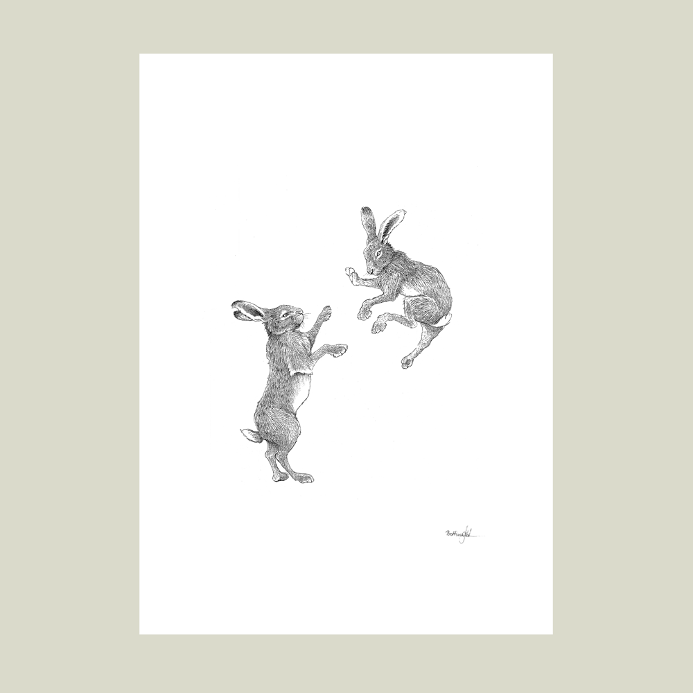 Håndtegnet plakat med to harer i bevægelse – naturmotiv fra serien I haven og skoven. Nordisk natur.