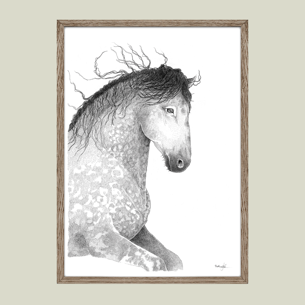 Håndtegnet plakat med hest i blød bevægelse. Et blidt og smukt motiv med styrke, ynde og nærvær. Limited edition - kun 20 plakater.