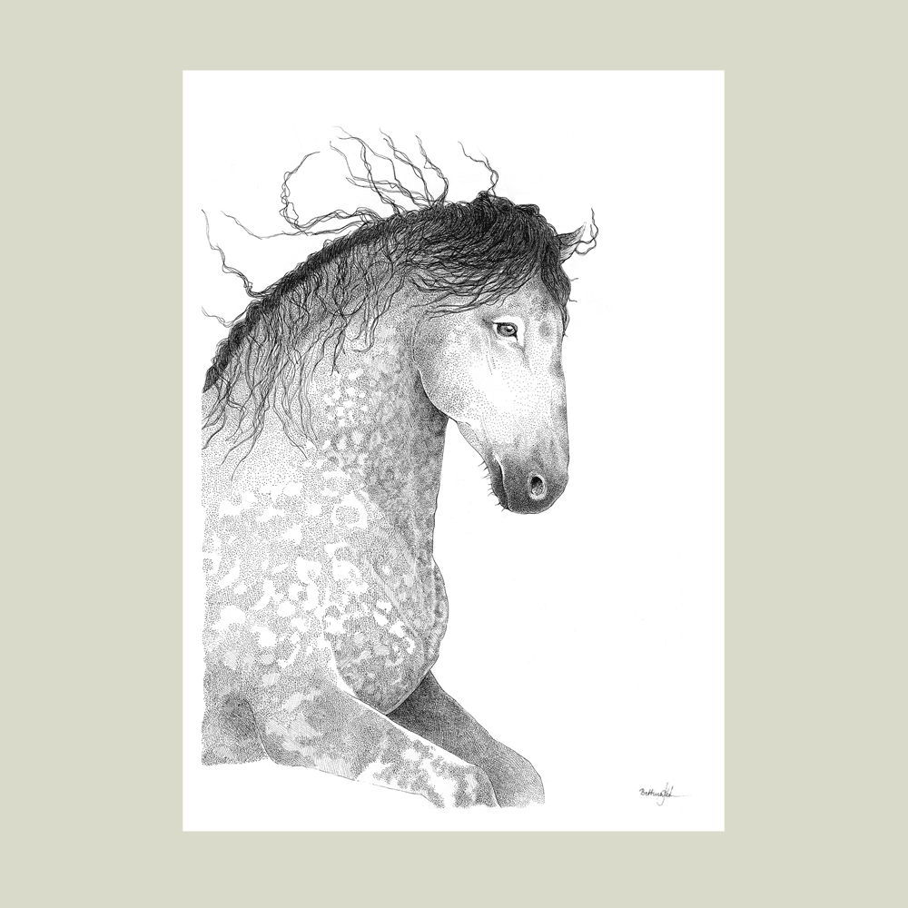 Håndtegnet plakat med hest i blød bevægelse. Et blidt og smukt motiv med styrke, ynde og nærvær. Limited edition - kun 20 plakater.