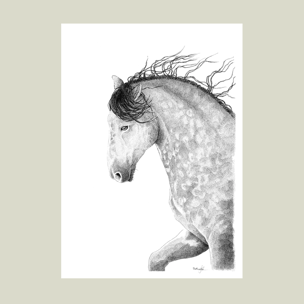 Håndtegnet sort-hvid illustration af en hest med bøjet hals og vinden i manen. Et roligt, kraftfuldt og poetisk motiv. Begrænset oplag på 20 stk