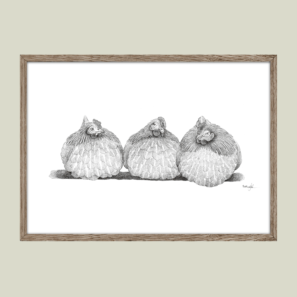 Håndtegnet sort-hvid illustration af tre høns, der sidder tæt sammen på række. Et livligt og roligt bondegårdsmotiv med humor.