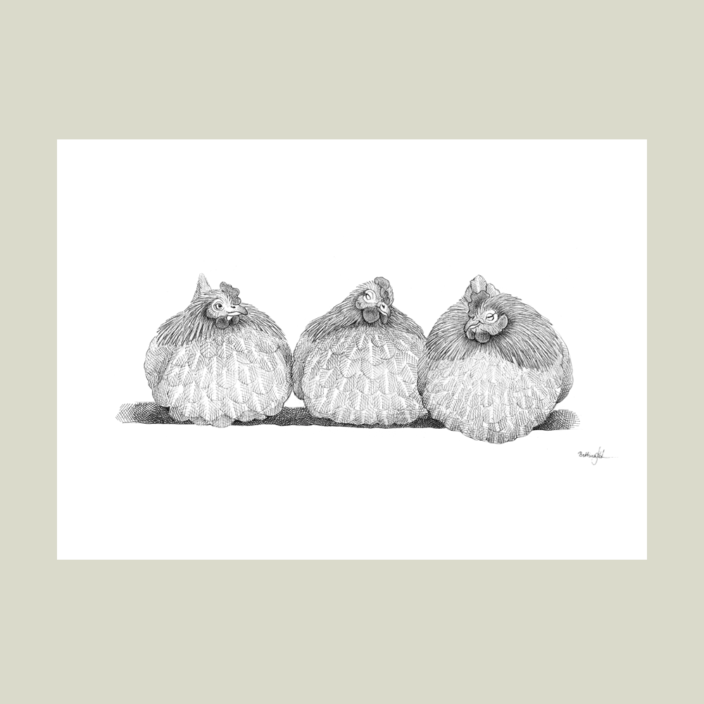 Håndtegnet sort-hvid illustration af tre høns, der sidder tæt sammen på række. Et livligt og roligt bondegårdsmotiv med humor.
