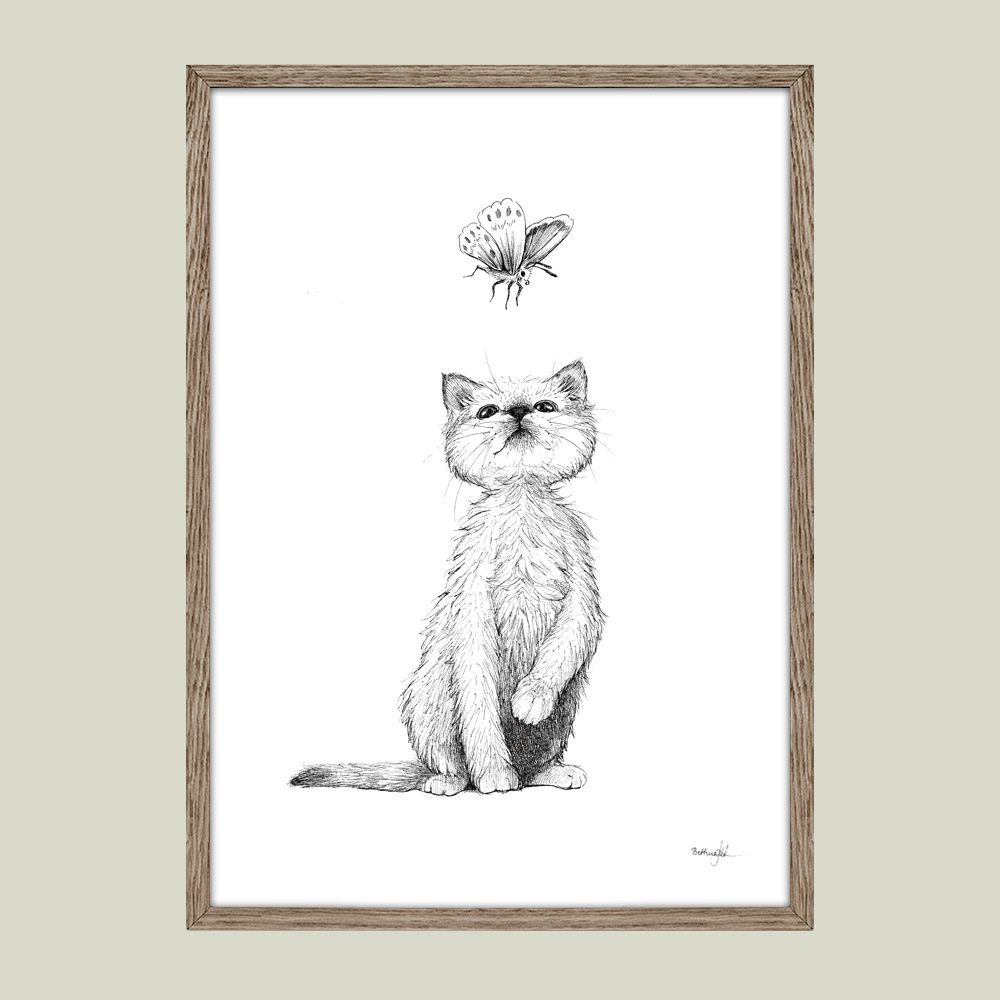 Håndtegnet sort-hvid illustration af en killing, der kigger op på en sommerfugl. Et legende og poetisk motiv med dyr og nysgerrighed.