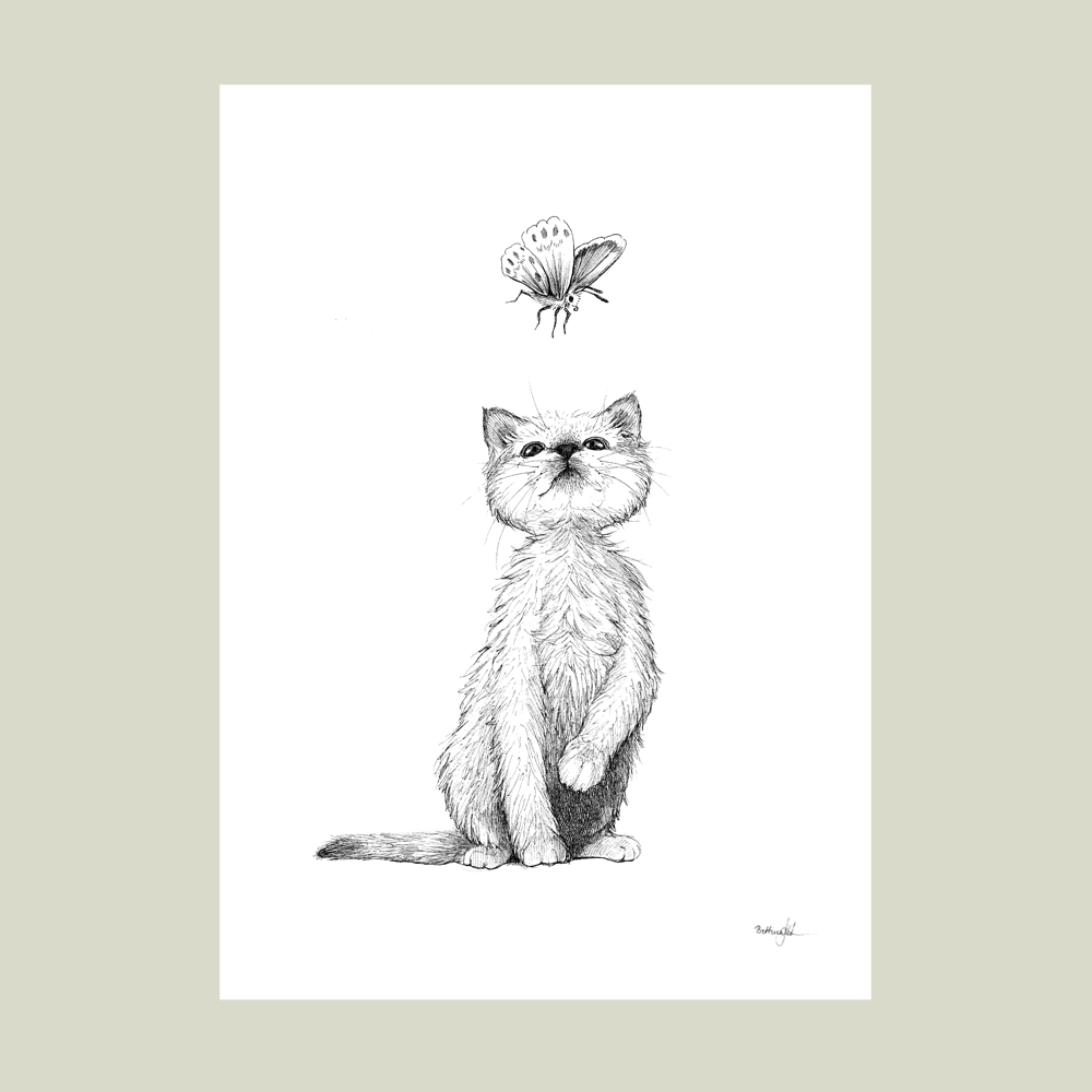 Håndtegnet sort-hvid illustration af en killing, der kigger op på en sommerfugl. Et legende og poetisk motiv med dyr og nysgerrighed.