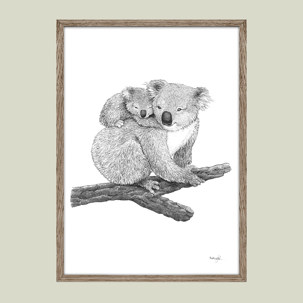 Håndtegnet sort-hvid plakat med koala og unge – detaljeret tuschtegning af mor med unge på ryggen.