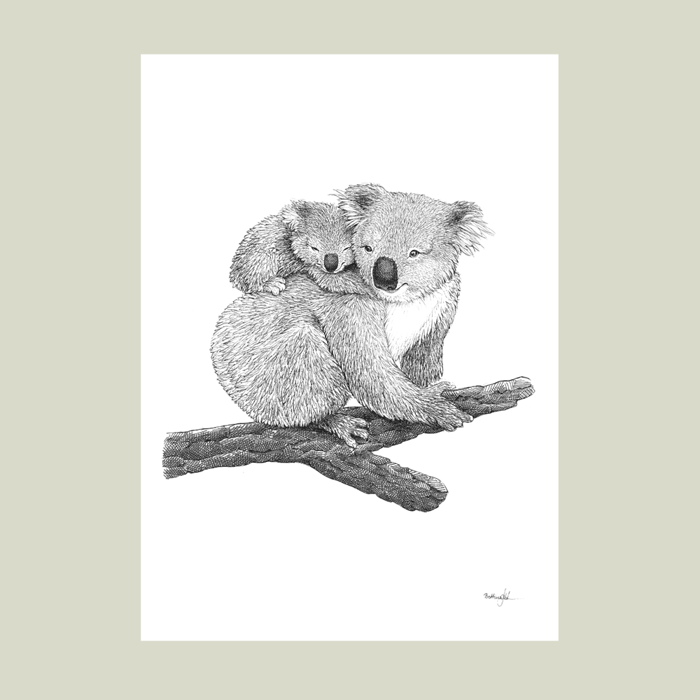 Håndtegnet sort-hvid plakat med koala og unge – detaljeret tuschtegning af mor med unge på ryggen.