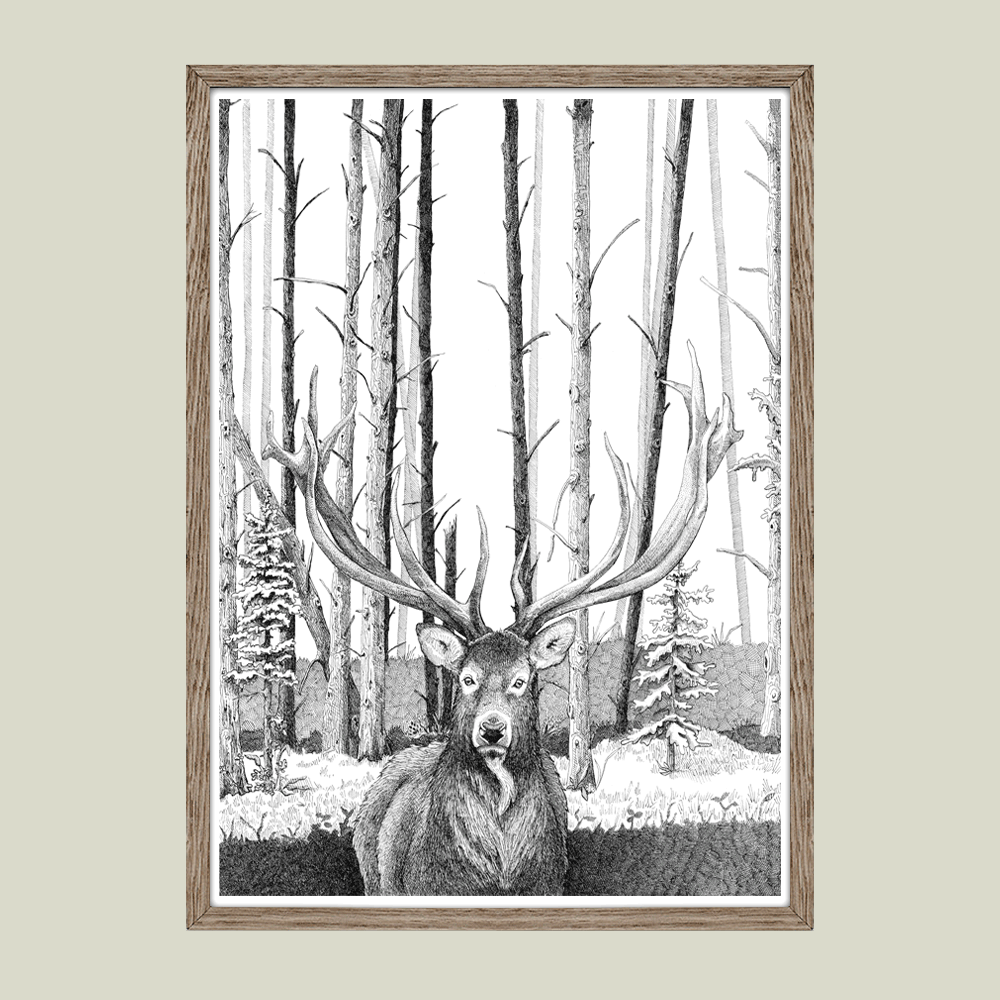 Håndtegnet plakat med kronhjort i skoven – naturmotiv fra serien I haven og skoven