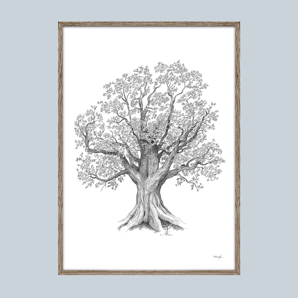 Kunsttryk med egetræ - Livets træ