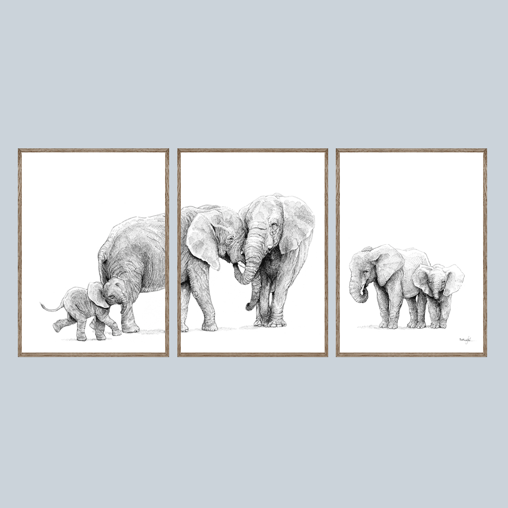 Kunsttryk med elefanter – Samhørighed