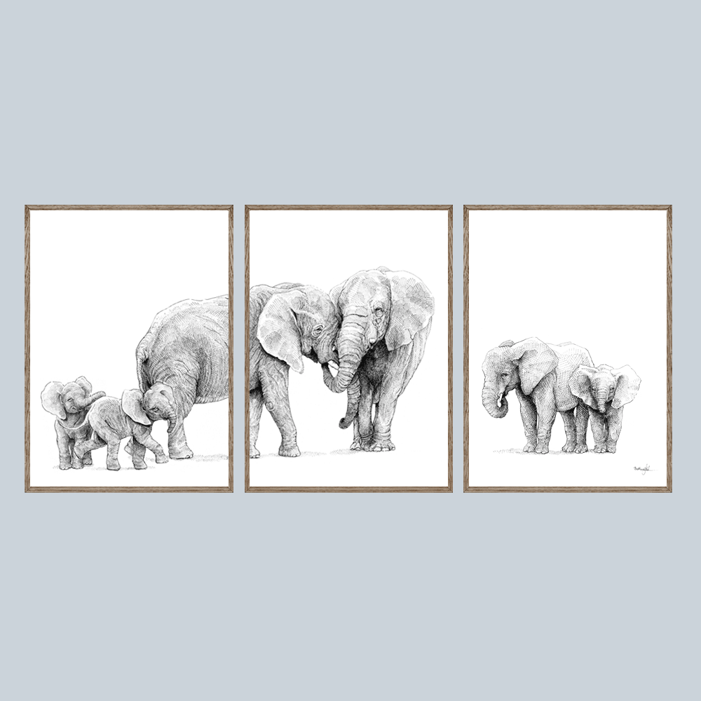 Kunsttryk med elefanter – Samhørighed