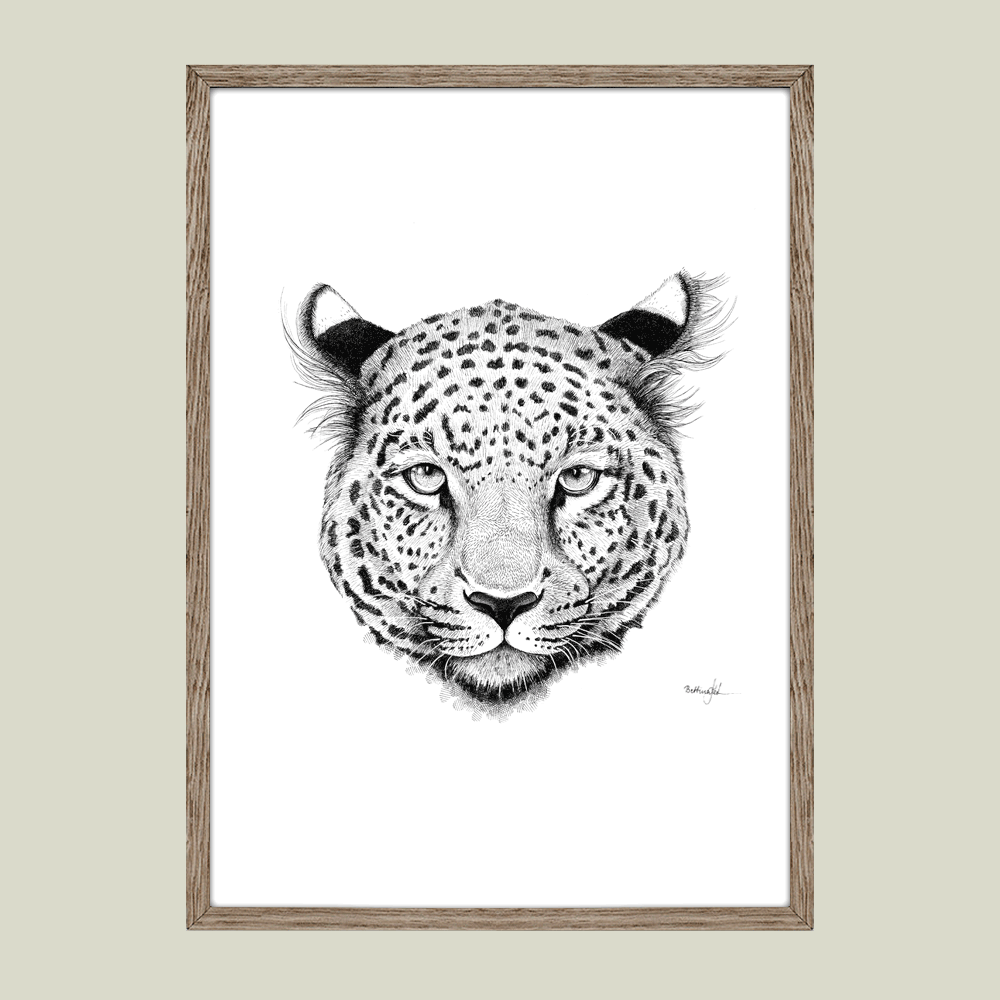 Håndtegnet sort-hvid plakat med leopard – detaljeret tuschtegning af leopardhoved med intenst blik.