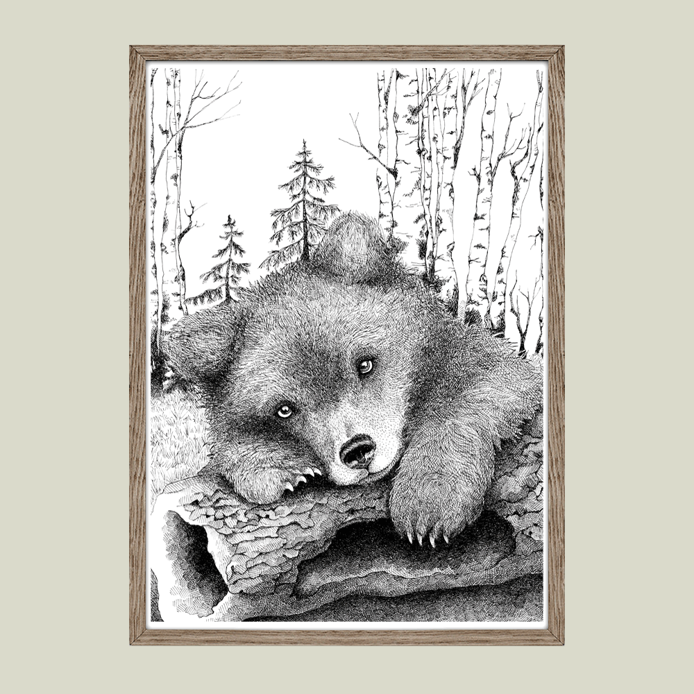 Håndtegnet plakat med bjørneunge i skoven – naturmotiv fra serien I haven og skoven
