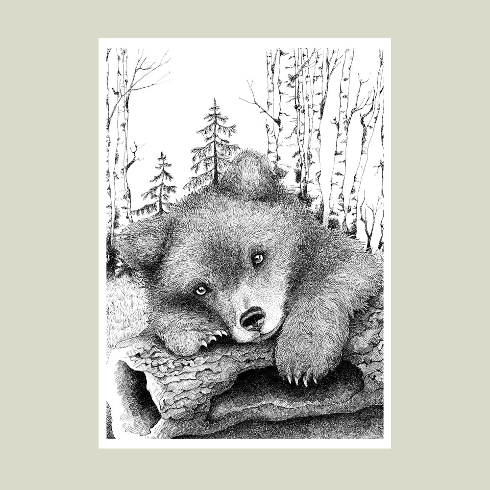 Håndtegnet plakat med bjørneunge i skoven – naturmotiv fra serien I haven og skoven