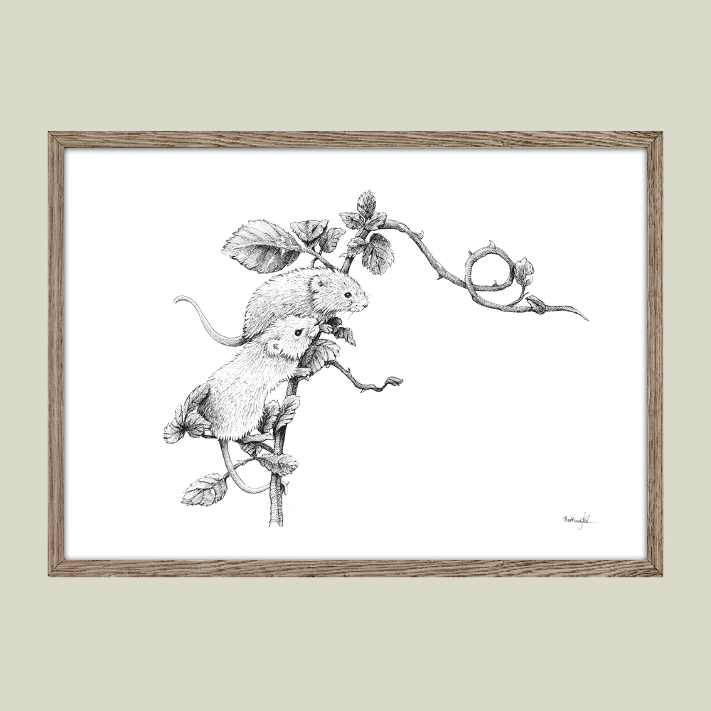 Håndtegnet plakat med to mus på gren – naturmotiv fra serien I haven og skoven. Nordisk stil.