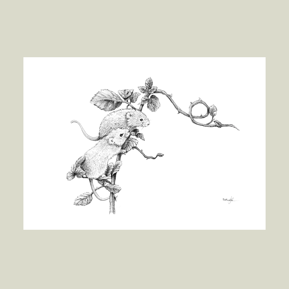 Håndtegnet plakat med to mus på gren – naturmotiv fra serien I haven og skoven. Nordisk stil.
