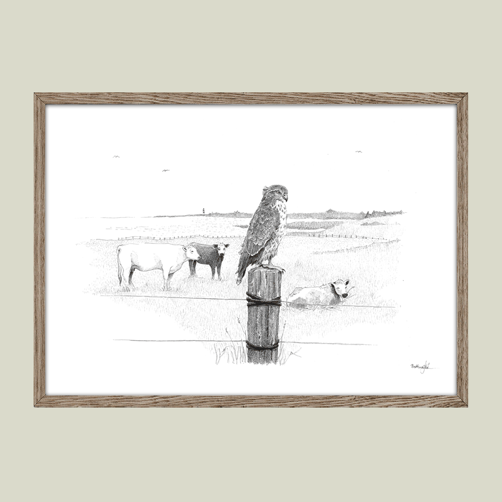 Håndtegnet plakat “Der hvor vinden hvisker”. Poetisk motiv fra marsken med musvåge og køer i det åbne landskab. En del af serien Ved havet. Trykt i Danmark.