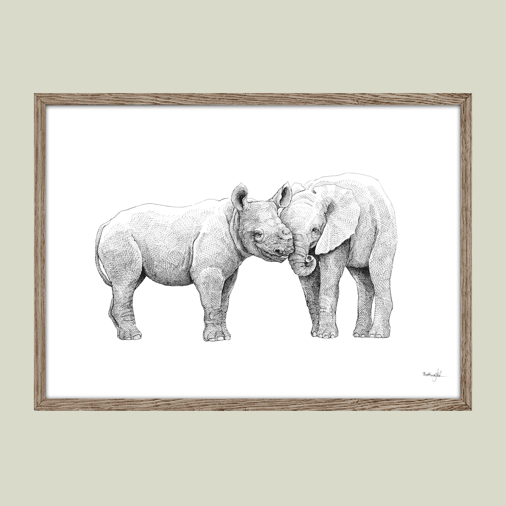 Håndtegnet sort-hvid plakat med næsehorn og elefant – detaljeret tuschtegning af to dyr side om side.