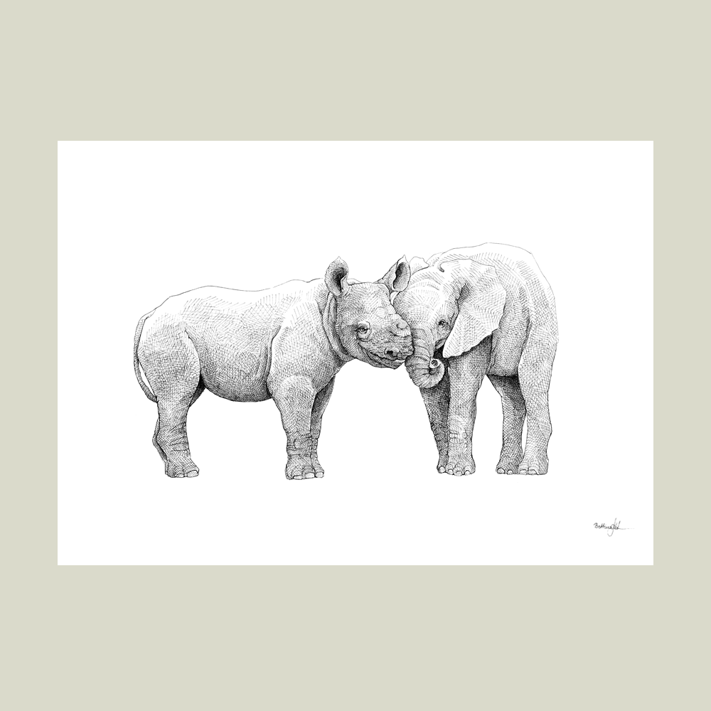 Håndtegnet sort-hvid plakat med næsehorn og elefant – detaljeret tuschtegning af to dyr side om side.