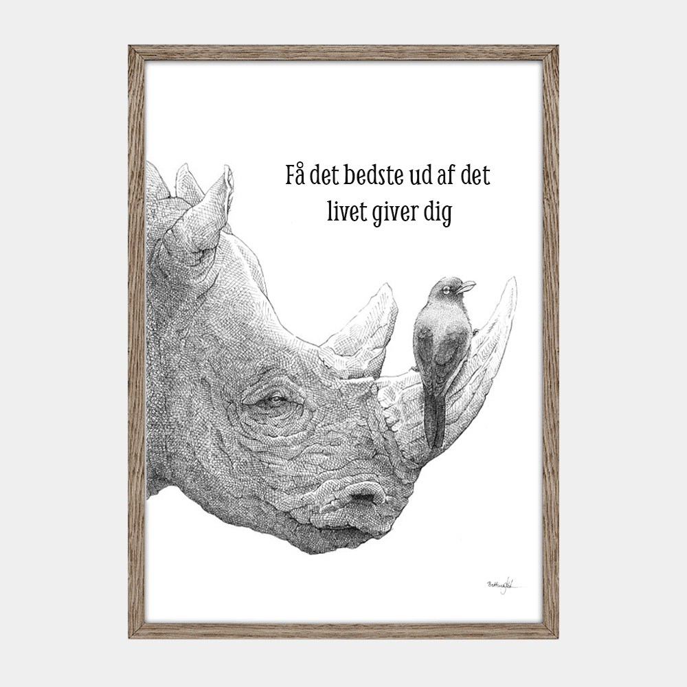 Plakat med næsehorn og oksehakker