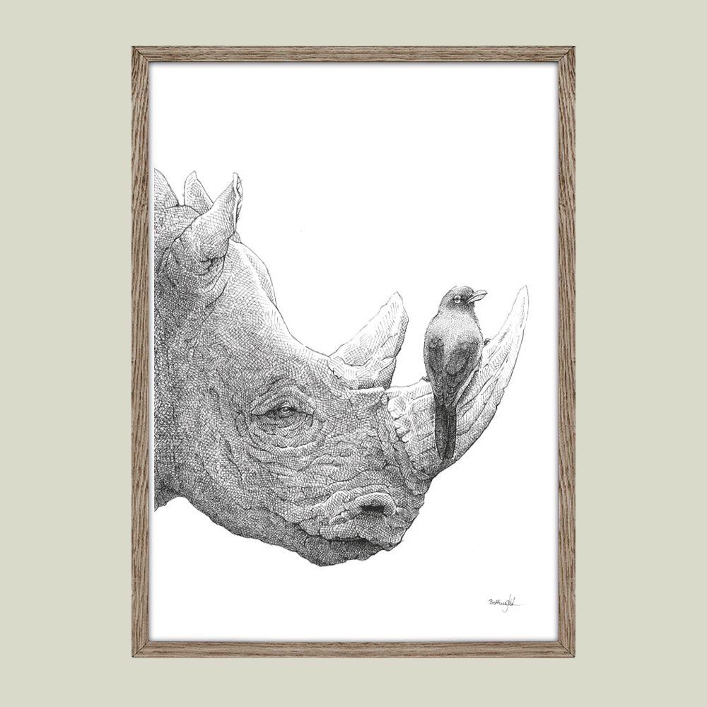 Håndtegnet sort-hvid plakat med næsehorn og oksehakker – detaljeret tuschtegning af fugl på næsehornets horn.