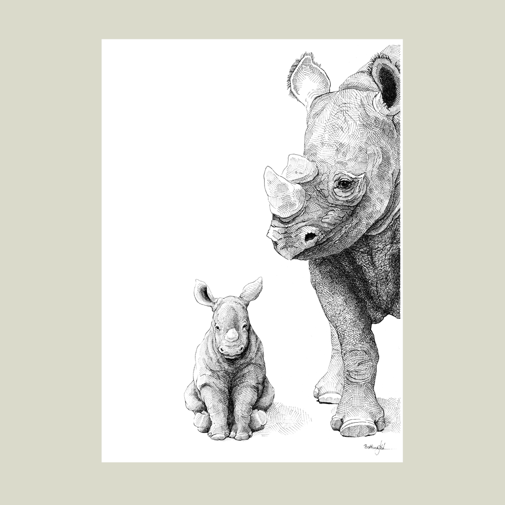 Håndtegnet sort-hvid plakat med næsehorn og unge – detaljeret tuschtegning af næsehornsmor med kalv.