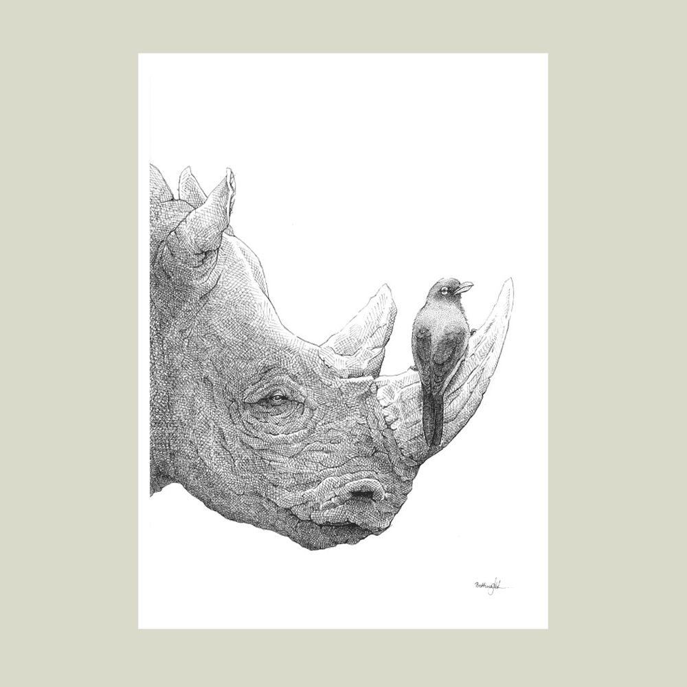 Håndtegnet sort-hvid plakat med næsehorn og oksehakker – detaljeret tuschtegning af fugl på næsehornets horn.