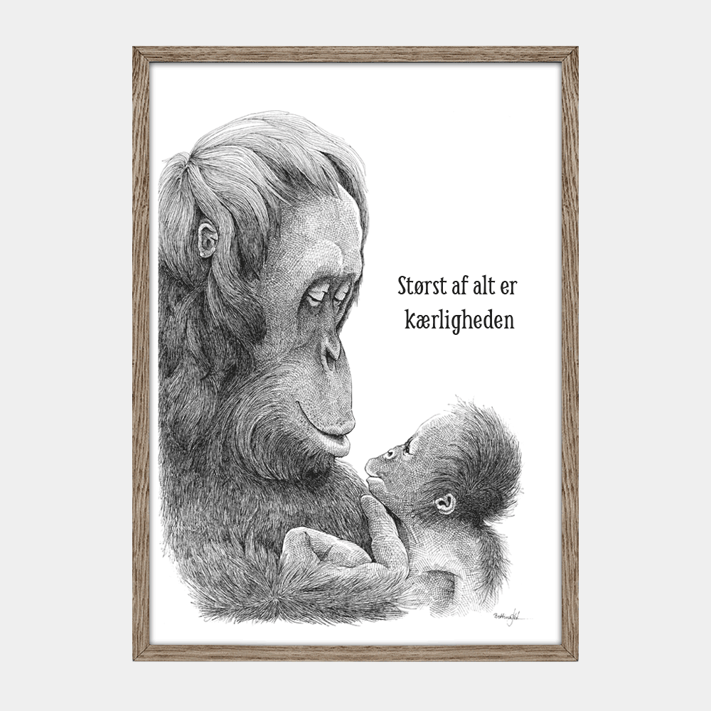 Håndtegnet sort-hvid plakat med orangutang og unge – detaljeret tuschtegning af mor, der ser på sin unge.

"Størst af alt er kærligheden".
