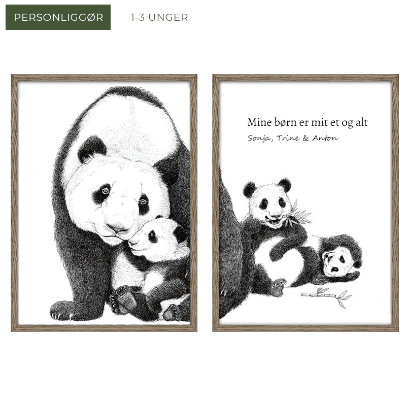 Pandafamilie