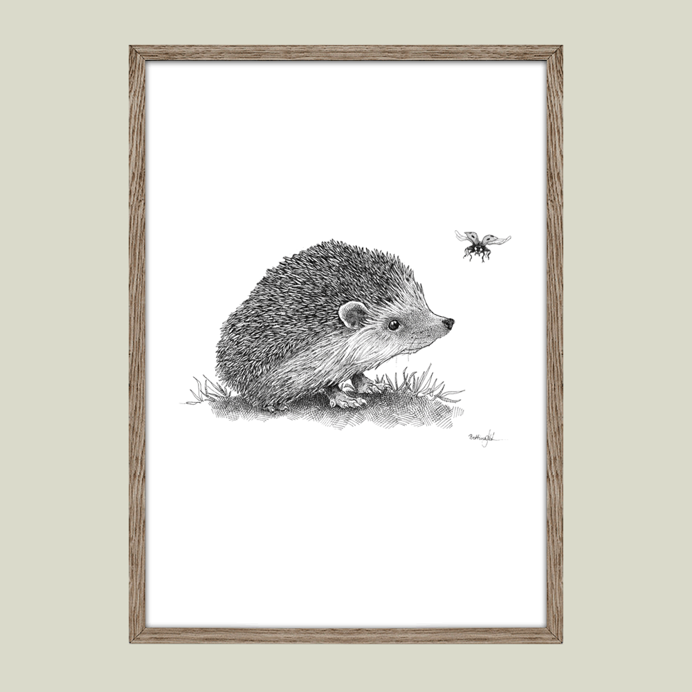 Håndtegnet plakat med pindsvin og mariehøne – naturmotiv fra serien I haven og skoven