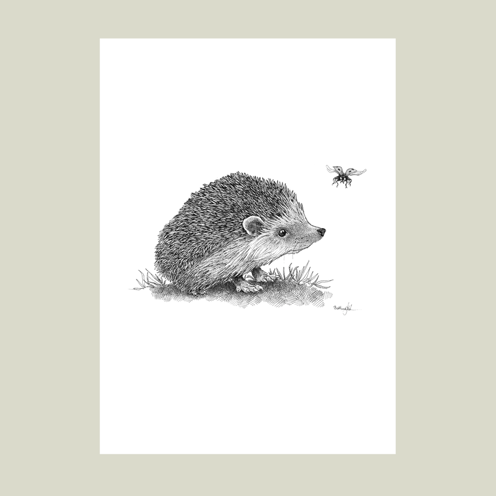 Håndtegnet plakat med pindsvin og mariehøne – naturmotiv fra serien I haven og skoven