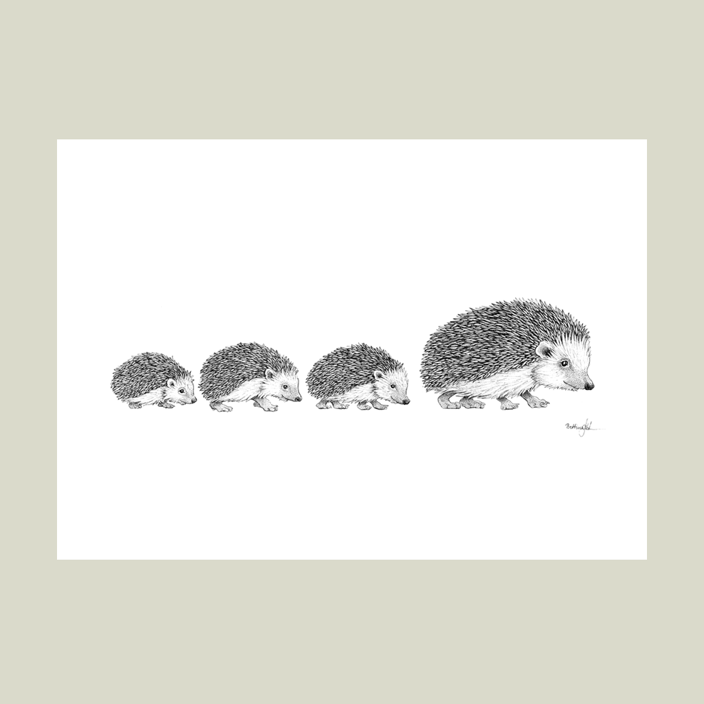 Håndtegnet plakat med pindsvinefamilie – naturmotiv fra serien I haven og skoven