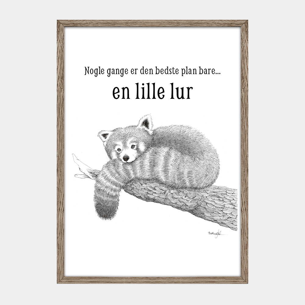 Håndtegnet sort-hvid plakat med rød panda – detaljeret tuschtegning af sovende rød panda på gren.

"Nogle gange er den bedste plan bare en lille lur".